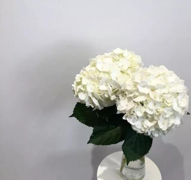 插花也是需要技巧的！