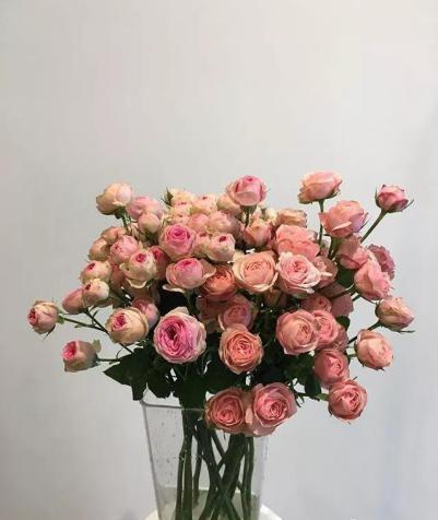 插花也是需要技巧的！