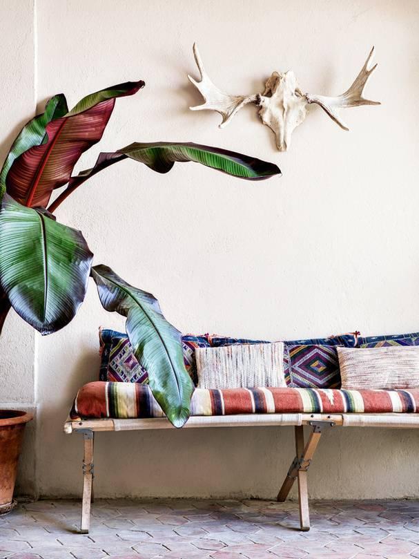 我想有一個這樣的家