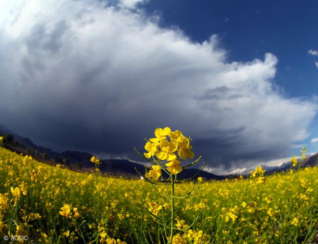 不管有錢沒錢，人活著，就要讓自己快樂點！