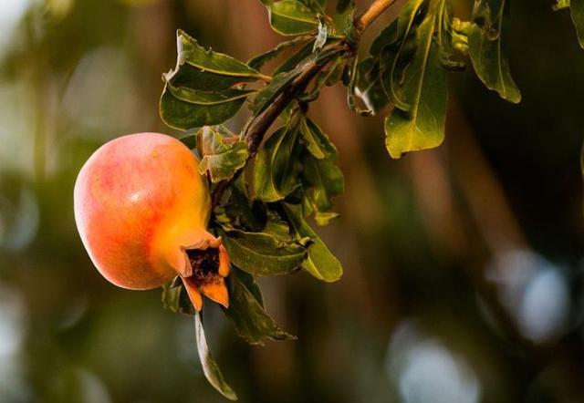 做一個幸福的小人物，是一種了不起的本事