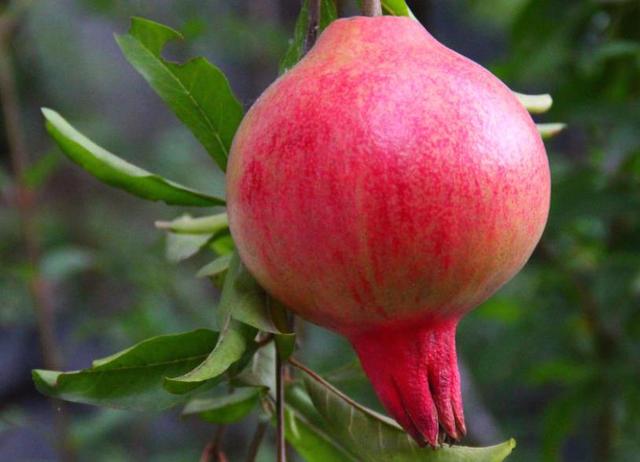 做一個幸福的小人物，是一種了不起的本事