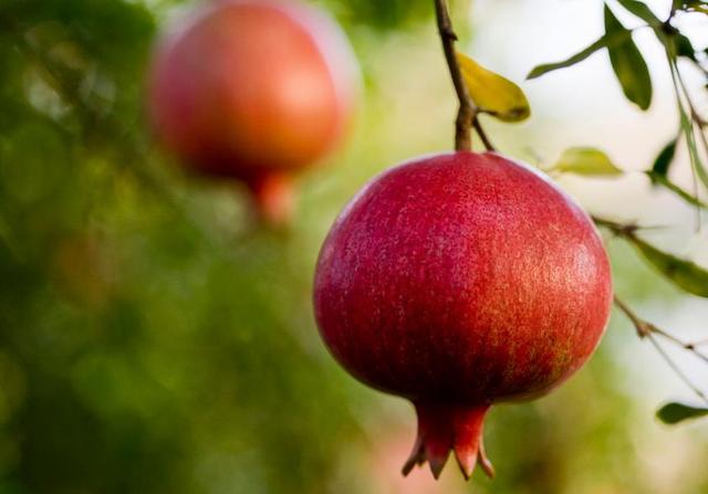 做一個幸福的小人物，是一種了不起的本事