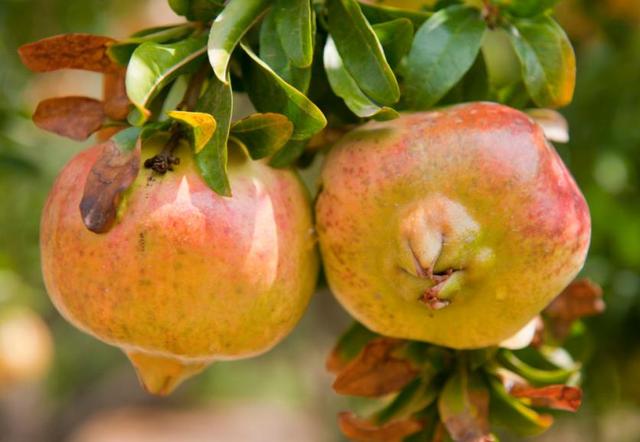 做一個幸福的小人物，是一種了不起的本事