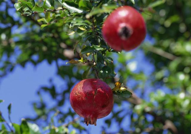 做一個幸福的小人物，是一種了不起的本事