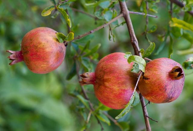 做一個幸福的小人物，是一種了不起的本事