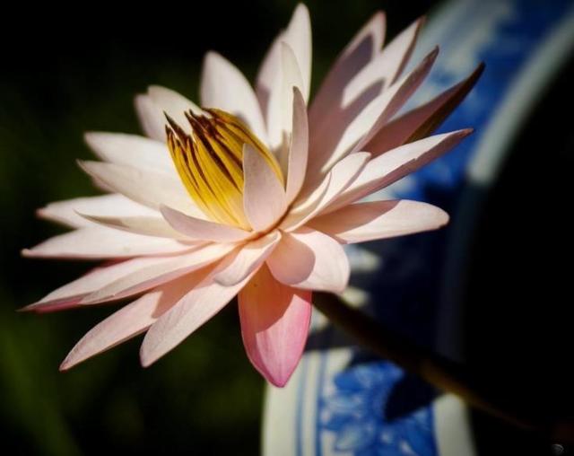 佛說：人生的十項修煉，能做到這四項，則大事可成