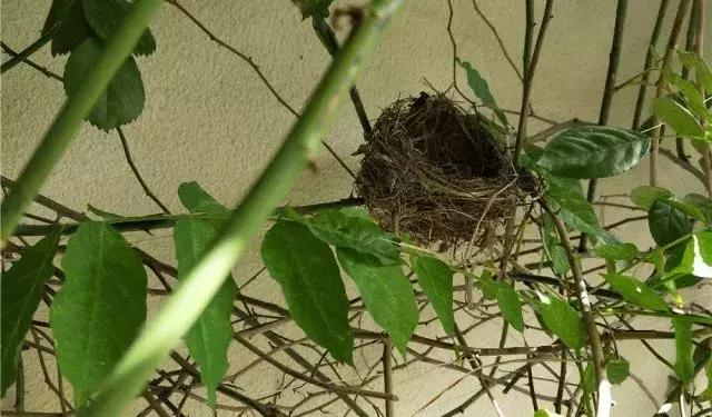 種草！ 這個帶著豪宅味道的湯池