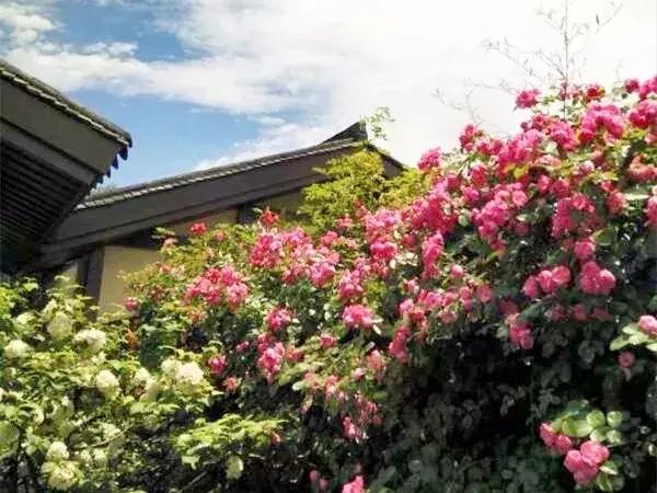 種草！ 這個帶著豪宅味道的湯池