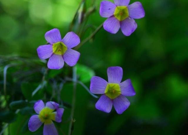 這三類“很努力”的人會被人取笑，希望沒有你