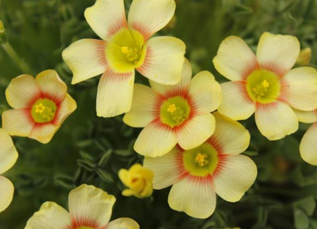 這三類“很努力”的人會被人取笑，希望沒有你