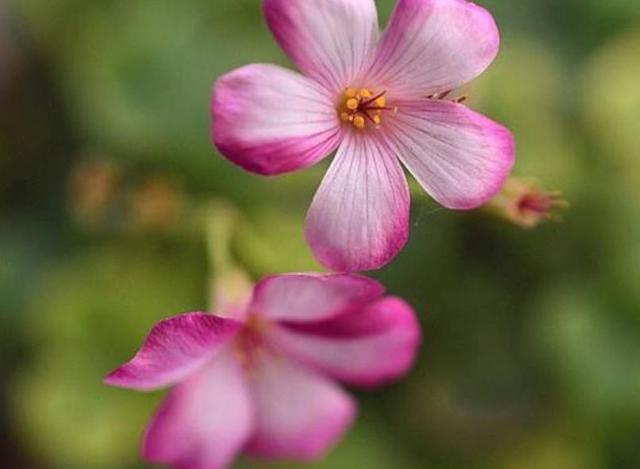 這三類“很努力”的人會被人取笑，希望沒有你