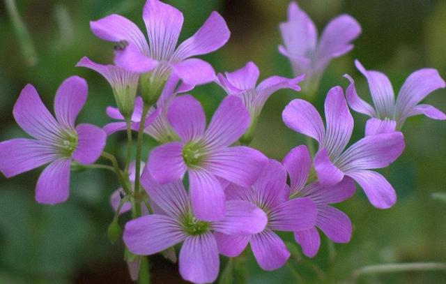 這三類“很努力”的人會被人取笑，希望沒有你