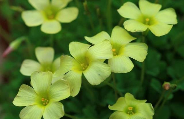 這三類“很努力”的人會被人取笑，希望沒有你