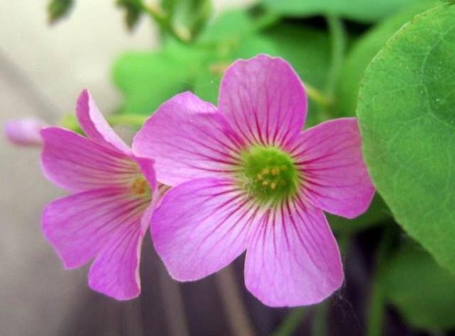 這三類“很努力”的人會被人取笑，希望沒有你