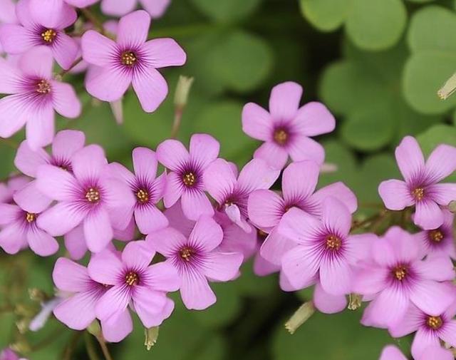 這三類“很努力”的人會被人取笑，希望沒有你