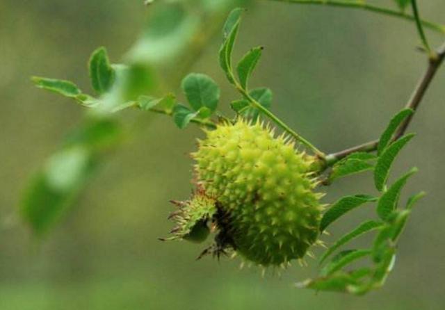 真正厲害的人,朋友都很少