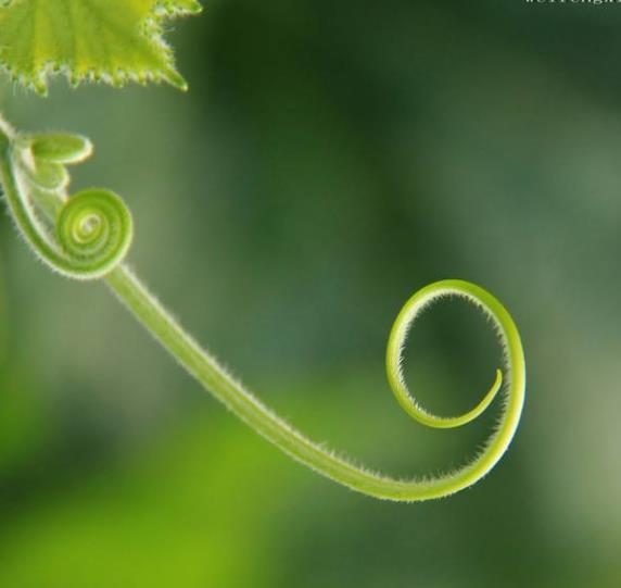 人生之路，無論多難，這四條路千萬別走