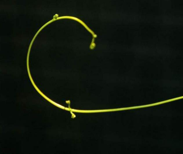 人生之路，無論多難，這四條路千萬別走