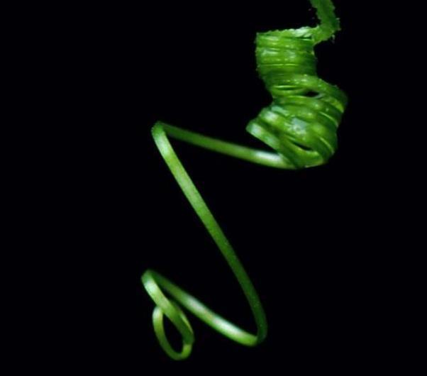 人生之路，無論多難，這四條路千萬別走