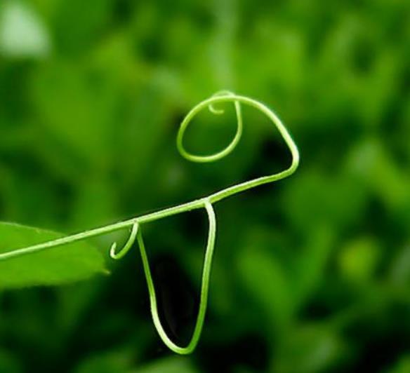 人生之路，無論多難，這四條路千萬別走