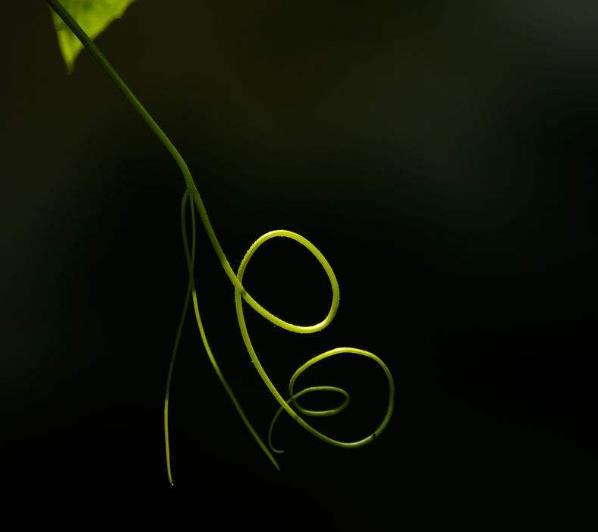 人生之路，無論多難，這四條路千萬別走