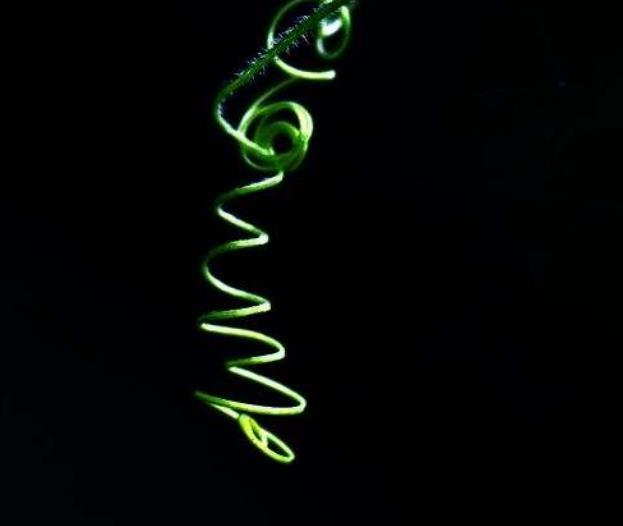 人生之路，無論多難，這四條路千萬別走