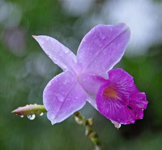 人在失意的時候，要懂得適當地“偽裝”自己