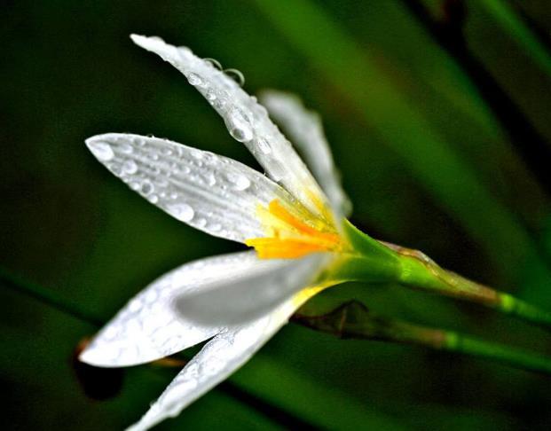 人在失意的時候，要懂得適當地“偽裝”自己