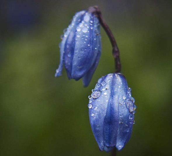 人在失意的時候，要懂得適當地“偽裝”自己