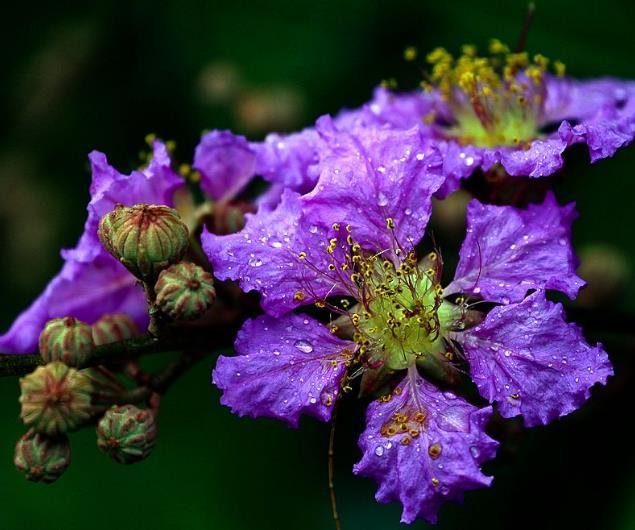 人在失意的時候，要懂得適當地“偽裝”自己