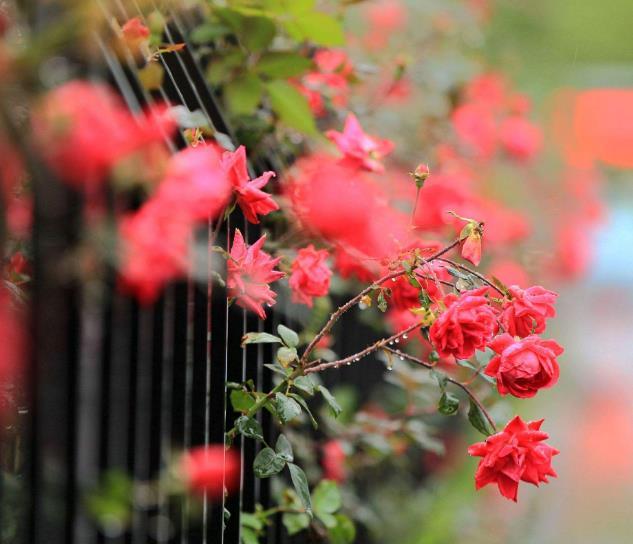 人在失意的時候，要懂得適當地“偽裝”自己