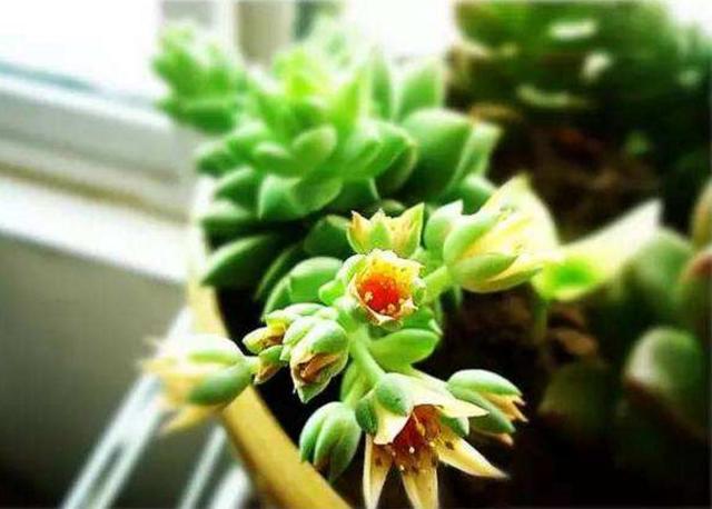 做人如果太老實，福氣就會漸漸喪失