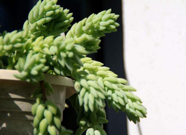 做人如果太老實，福氣就會漸漸喪失