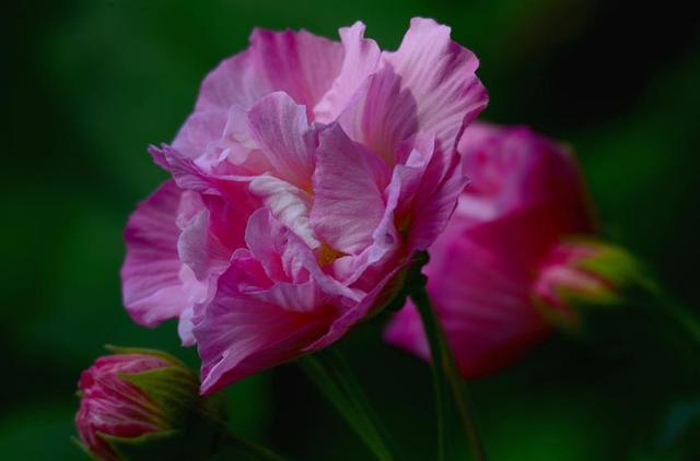 做人要想有成績，就要學會“厚”臉皮