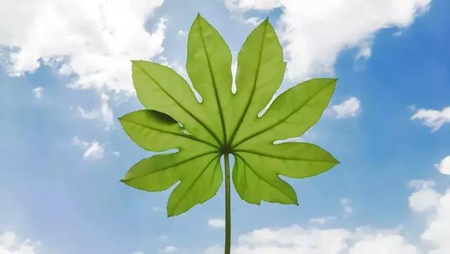 這是生活，需要自在，更要灑脫！