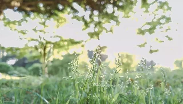 這是生活，需要自在，更要灑脫！