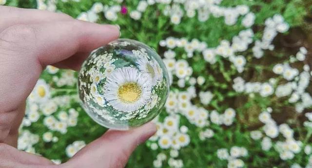 這是生活，需要自在，更要灑脫！