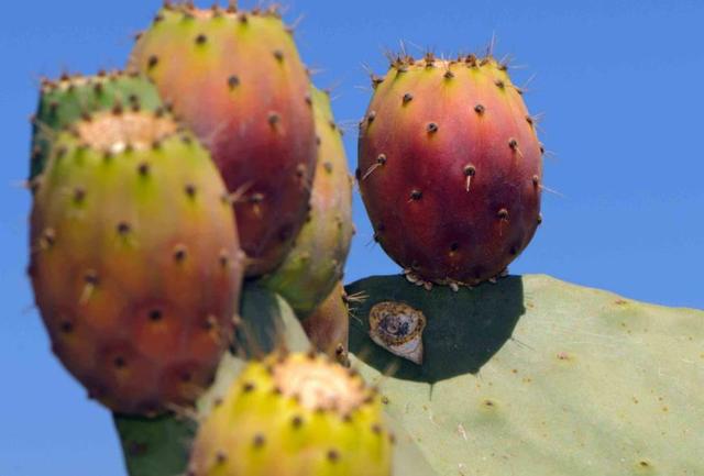 做人，學會了這三種心機，即可“猛獸獨行”