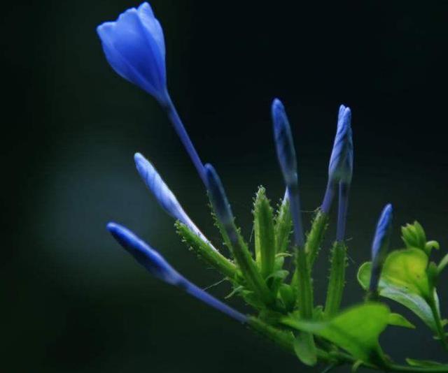 人活著，最苦的不是沒有錢，而是沒有一個溫暖的家