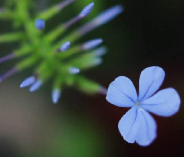 人活著，最苦的不是沒有錢，而是沒有一個溫暖的家
