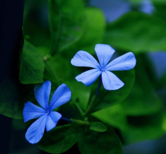 人活著，最苦的不是沒有錢，而是沒有一個溫暖的家