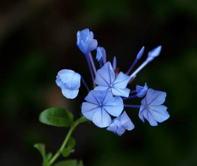 人活著，最苦的不是沒有錢，而是沒有一個溫暖的家