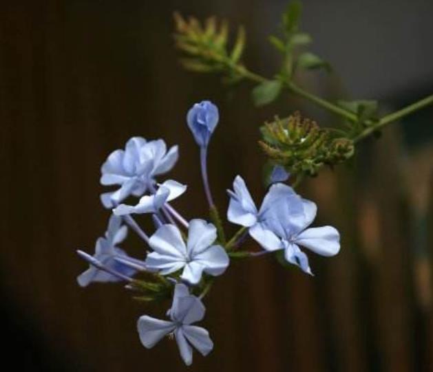 人活著，最苦的不是沒有錢，而是沒有一個溫暖的家