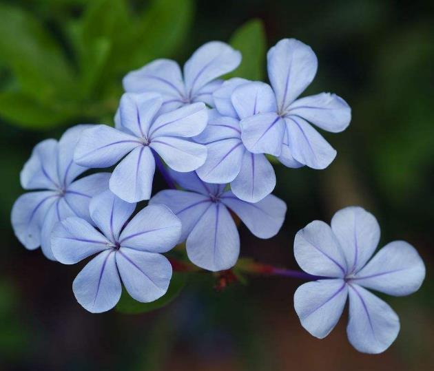 人活著，最苦的不是沒有錢，而是沒有一個溫暖的家