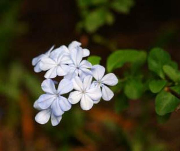 人活著，最苦的不是沒有錢，而是沒有一個溫暖的家