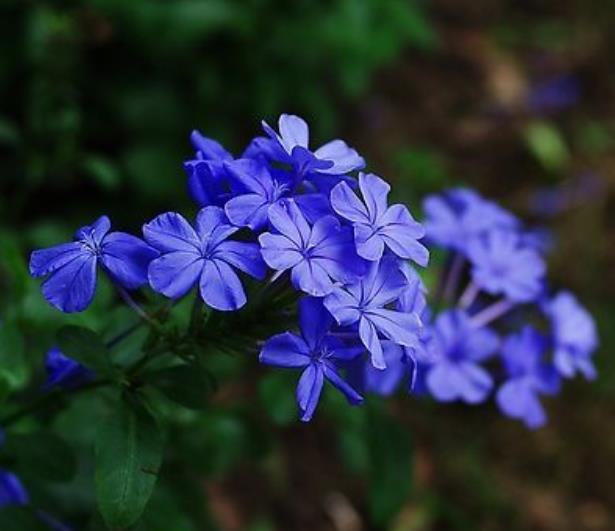 人活著，最苦的不是沒有錢，而是沒有一個溫暖的家