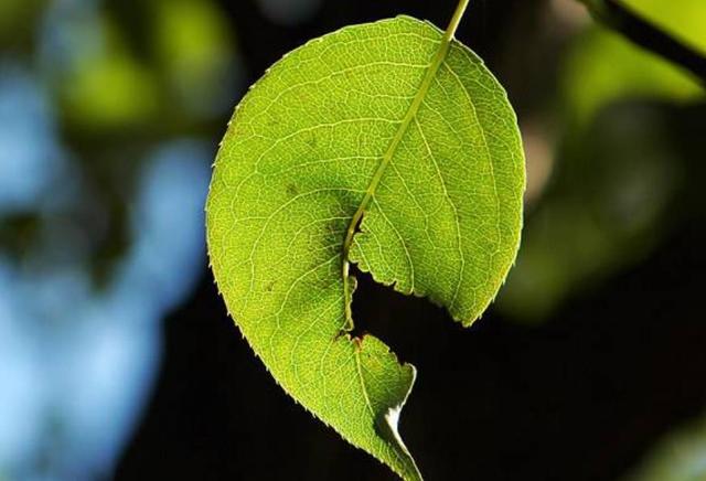 做人要懂得：這些人事，錯過一時，就錯過一世