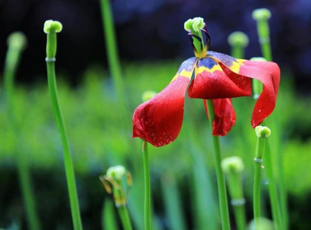 做人要懂得：這些人事，錯過一時，就錯過一世