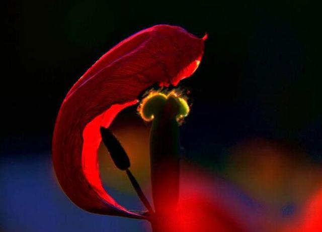 做人要懂得：這些人事，錯過一時，就錯過一世